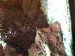 IMG_0425.jpeg