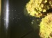 A23B69C1-B629-40E4-8AFF-E2F88C5689D8.jpeg