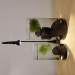 Both tanks under the lamp