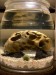 Happy nano tank