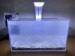 LED light and HOB filter to get water circulating