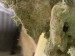 IMG_0714.jpeg