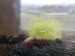 IMG_7901.jpeg