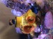 A74D4C8A-4ACE-4635-A92D-C5734D939237.jpeg