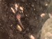 image1 (1).jpeg