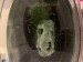 image1 (5).jpeg