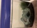 image0 (11).jpeg