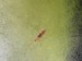 IMG_7297.jpeg