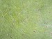 89888A4D-18AB-4D03-8DB8-799394DE297F.jpeg