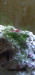 Screenshot_20220718-015335_Gallery.jpg (542.37 KiB) Viewed 16403 times Screenshot_20220718-015335_Gallery.jpg