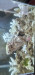 Screenshot_20220718-015355_Gallery.jpg (691.62 KiB) Viewed 16403 times Screenshot_20220718-015355_Gallery.jpg