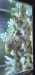 Screenshot_20220718-015418_Gallery.jpg (711.21 KiB) Viewed 16403 times Screenshot_20220718-015418_Gallery.jpg