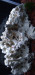 Screenshot_20220722-001210_Gallery.jpg (684.89 KiB) Viewed 16403 times Screenshot_20220722-001210_Gallery.jpg