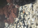 3C52347D-65A8-4EDD-BF7D-2E68CCA19471.jpeg