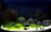 IMG_20230331_202135_edit_313924977389076.jpg (5.14 MiB) Viewed 36982 times IMG_20230331_202135_edit_313924977389076.jpg