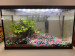 cycled10gal.jpg