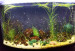 IMG-20240730-WA0000.jpg