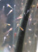 PXL_20240924_164627555.jpg
