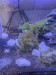 PXL_20250127_230703915.jpg