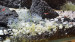 IMG_5707.jpeg