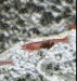 IMG_0619.jpeg