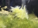 IMG_3986.jpeg