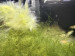 IMG_3987.jpeg