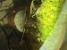 IMG_3866.jpeg