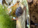 IMG_3980.jpeg