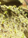 IMG_4084.jpeg