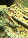 IMG_4074.jpeg