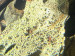IMG_4075.jpeg