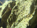 IMG_4078.jpeg