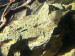 IMG_4083.jpeg