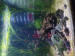 IMG_20250525_083000000.jpg