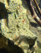 IMG_5614.jpeg