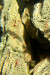 IMG_5612.jpeg