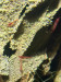 IMG_5611.jpeg