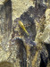 IMG_5794.jpeg