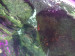 20250831_141430.jpg
