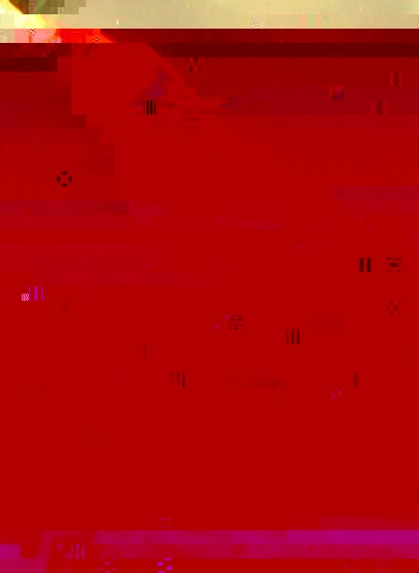 bee_4492.sized.jpg