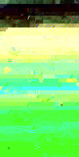crs_4517.sized.jpg