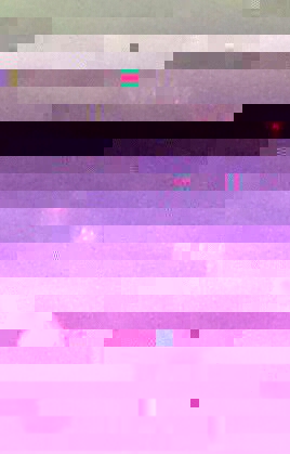 20130216_101811-1-1.jpg