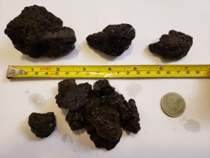 Black Lava Rocks (hand picked and rinsed)