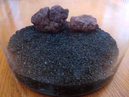 Supershrimp Substrate (Black-Course/Pre-Washed)